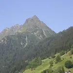 Zangerle *