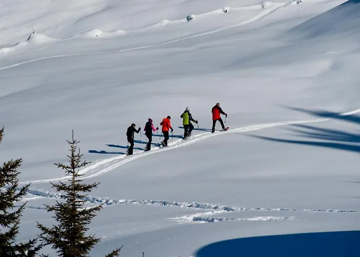 Διαμέρισμα Zangerle