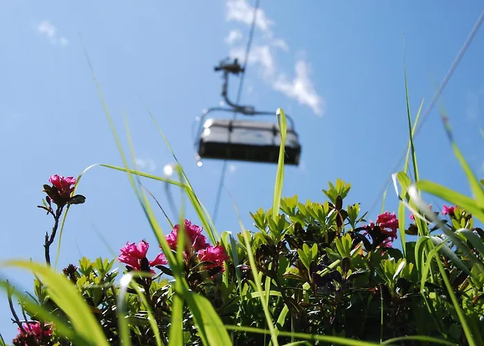 Zangerle Διαμέρισμα Kappl (Landeck)