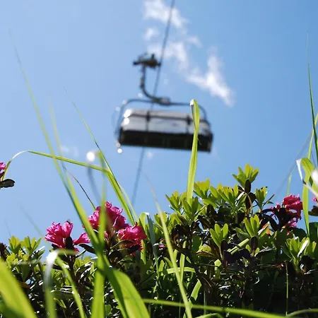 Zangerle Daire Kappl (Landeck)